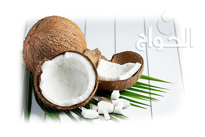 cocos-nucifera-linn-coco-nut-oil-benefits-article-elhawag-global-natural-oils-supplier