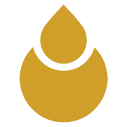 elhawag-gold-variation-logo.png