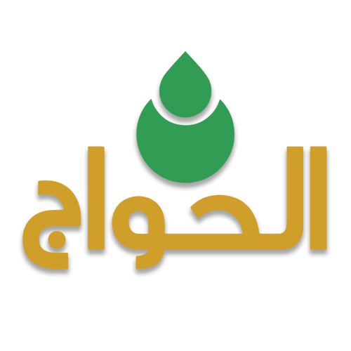 elhawag-png-logo-original-green-and-gold-with-shadow-effect.png