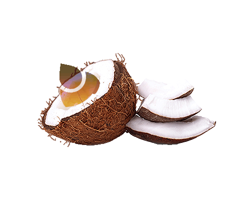 image-of-open-coconut-with-faded-elhawag-logo-graphic-inside.png
